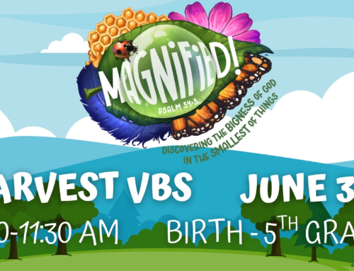 Vacation Bible School is June 3-5!