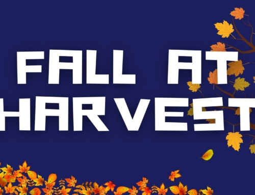 Fall at Harvest