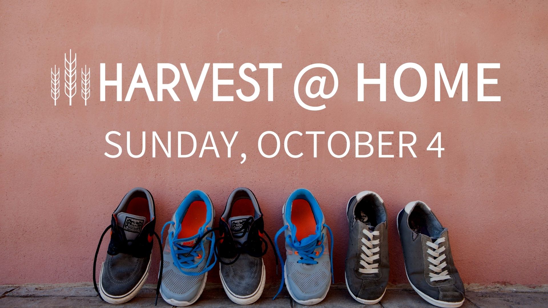 house of harvest ministries