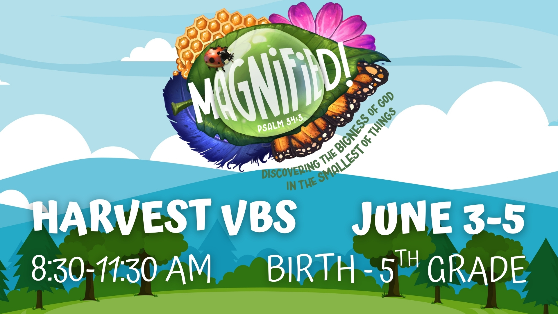 Vacation Bible School is June 3-5!